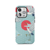 Podniebny taniec żurawi